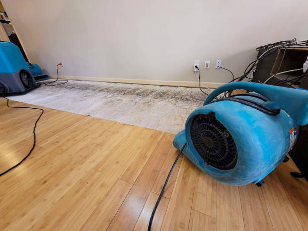 Professional Flood Damage Cleanup technician working in Bedford, IN